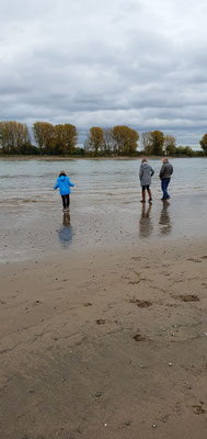 Am Rhein