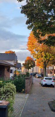 Fühlingen