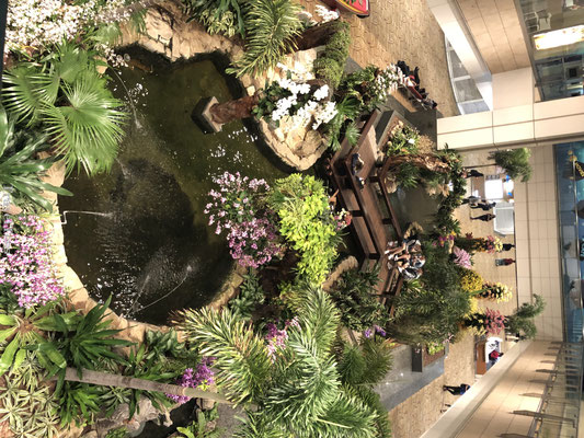 Flower Garden Singapore Changi Airport 