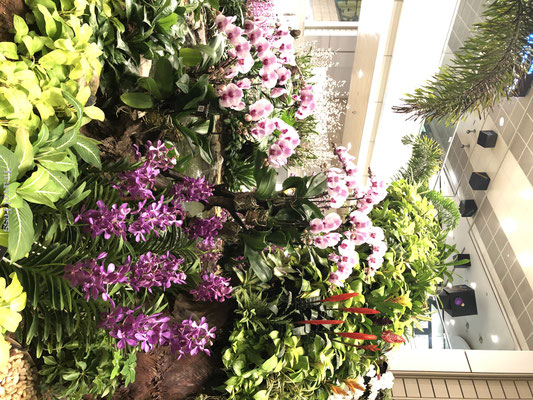 Bloemen Singapore vliegveld