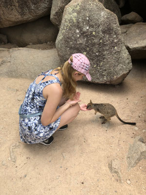 Tessa voert wallabie