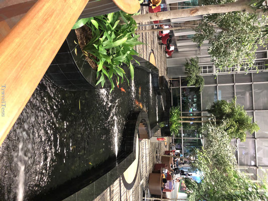 Singapore vliegveld