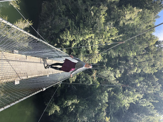 Hangbrug in Abel Tasman Park