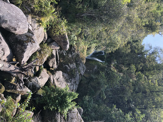 Abel Tasman Park