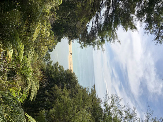 Uitzicht over Abel Tasman National Park
