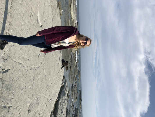Zeehond in Kaikoura