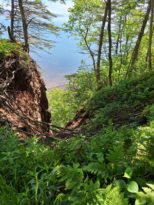Partridge Island