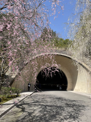 トンネルをくぐり