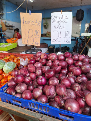 Tomaten 0,80 Fr./Kg, Zwiebeln 1,06 Fr./Kg.
