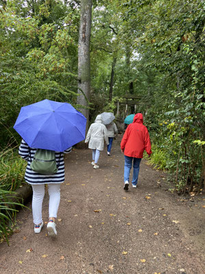 Zootour im Regen 