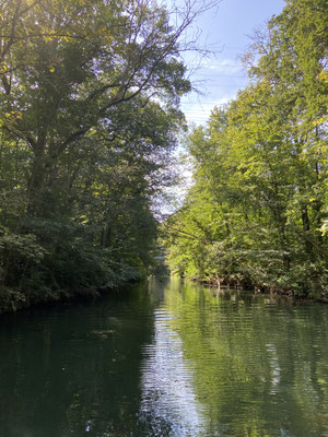 Auwald
