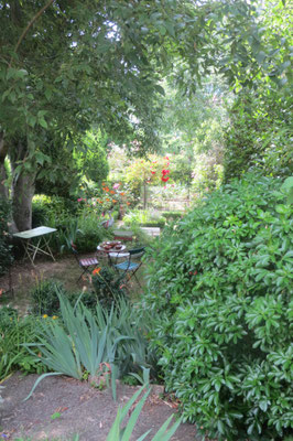 jardin ombragé par le Micocoulier de 120 ans  