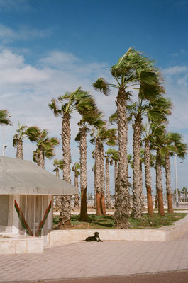 essaouira octobre 2024