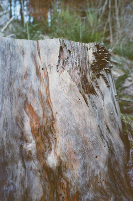 morvan février 2025