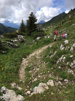 col de l'Ovine