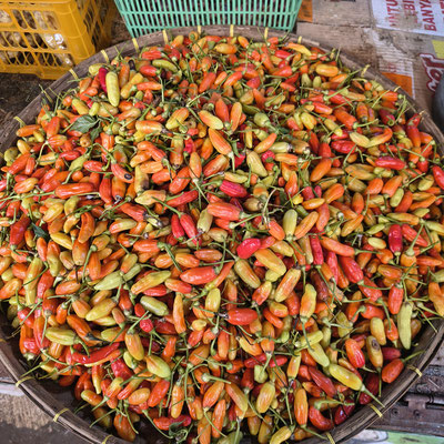 Rawitpepers (Bird's Eye Chili) zeer hete kleine pepers