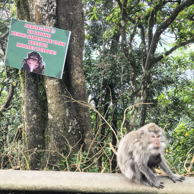 waarschuwingsbord gooi geen afval in de natuur