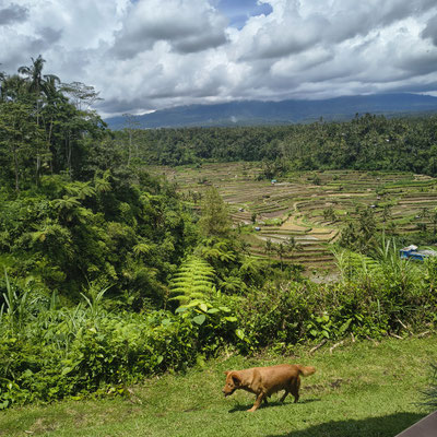 Mount Agung in de wolken