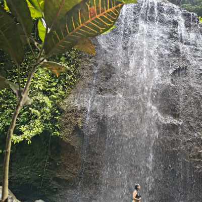  Tegenungan Waterfall (ook wel bekend als Blangsinga Waterfall)
