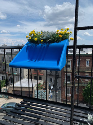 balKonzept in New York