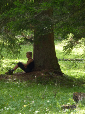 Allein mit dem Baum - ein spezielles Erlebnis