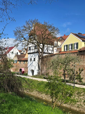 Färbertörl - einer der erhaltenen, ursprünglich 38 Stadtmauertürme 