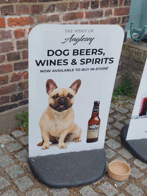 auffälliger Trend überall: Eiscreme für Hunde und kostenlose Leckerlies in fast allen Cafés - aber Hunde-Bier ist vielleicht wirklich ein bisschen übertrieben.