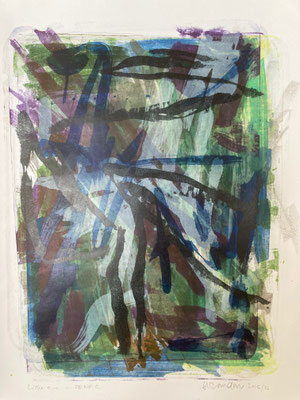 Roland Sandner: o.T. Lithografie , einzeldruck 35 x 25 cm  450 Euro