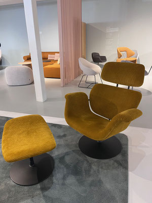 Artifort_01