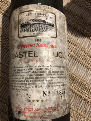 cabernet sauvignon 1989 castel pujol: very nice wine, dried fruit: figs, plums, fine herbs, tabaco ; melted in the taste, balanced, A