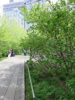 High Line Park, New York, USA