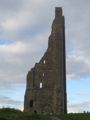 St Mary's Abbey, Trim