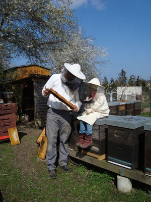 mit Papa bei den Bienen Frühjahr 2016