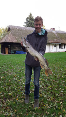  Hecht, 77 cm, 2,9 kg, Köder: Rotfeder, 2020