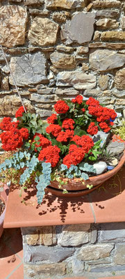 Bunter Blumenkübel