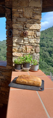 Frisch gebackenes Brot