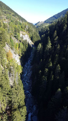 unter der Brücke die Rotte