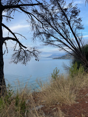 Blick auf Menton und Monaco