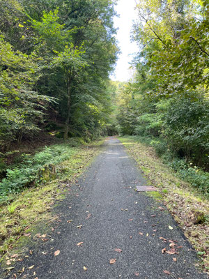 Alte Bahngleise versprechen Ruhe ...