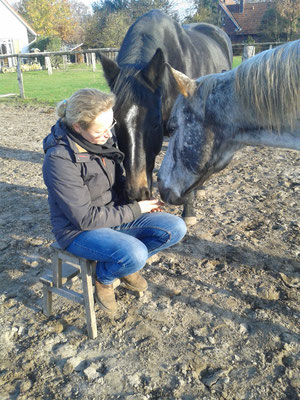 Lakota und Rizzly