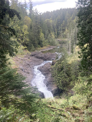 ein 5km Trail zu den Elk-Falls