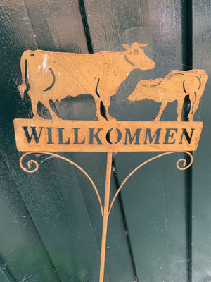 eine informative Exkursion auf dem Büffelhof Kragemann in Barlo...