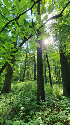 Foto: Richard Fischer