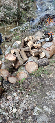 Holzvorrat in üppiger Menge, alles aus dem Bach geholt und zersägt. Wartet nun, bis ein Unterstand wieder leer ist