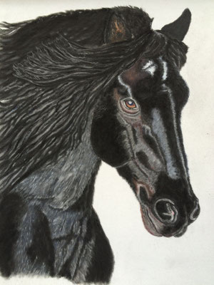 Frans: PanPastel / Pastel Pencils on Pastelmat 30x40cm