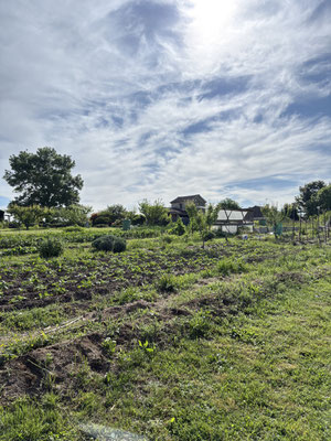 Le potager biologique - Au mas de Janita ©