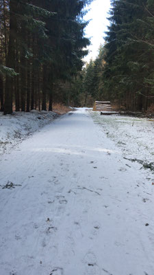 Waldweg in Richtung Sternmühle