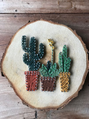 decoratie cactussen