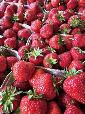 Erdbeeren in Schälchen für selbstgemachte Erdbeermarmelade