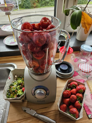 Erdbeeren im Mixer bereit zum pürieren